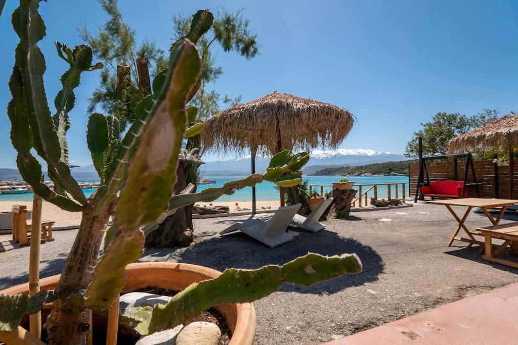 Sea And Sun Metaxy Mas, Brand-New, Beachfront ! Chania  Exteriör bild
